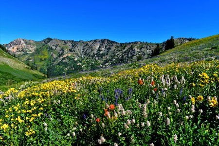 20170729-FS-Uinta-BH-002