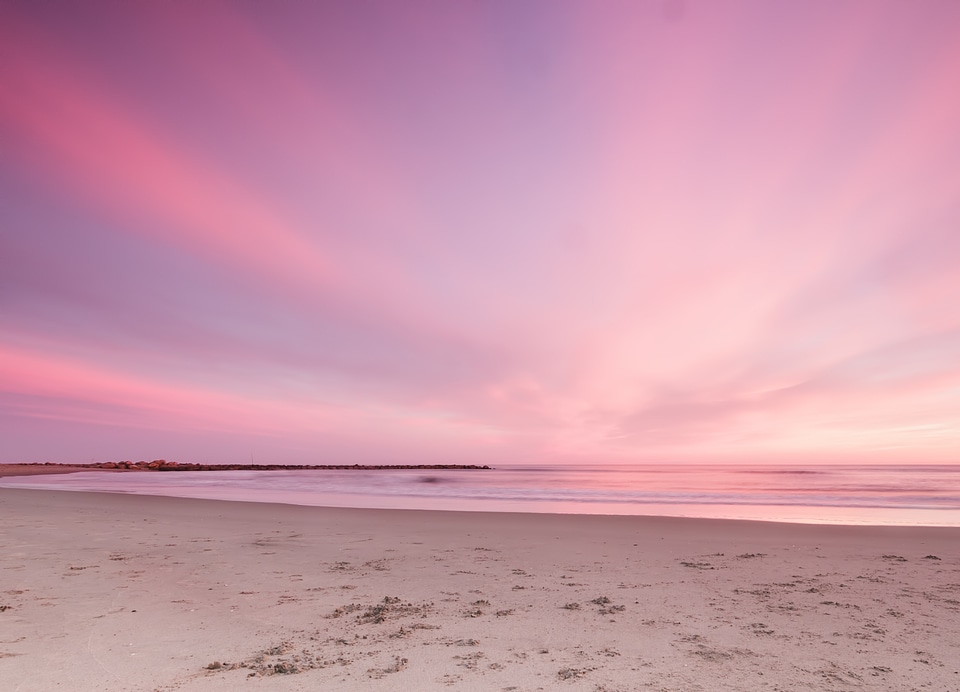 Horizon pink seascape