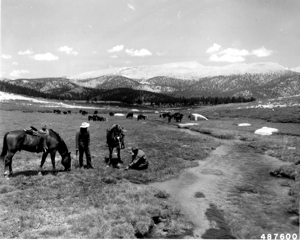 195808XX-FS-Inyo-DOT-487600