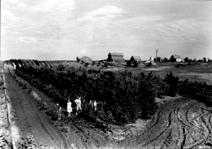 193997XX-FS-South Dakota-WHS-384030