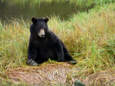 20110826-FS-Tongasss-DM-032