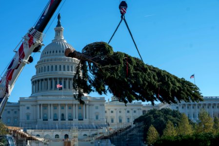 20201120-FS-WashingtonDC-TEF-036