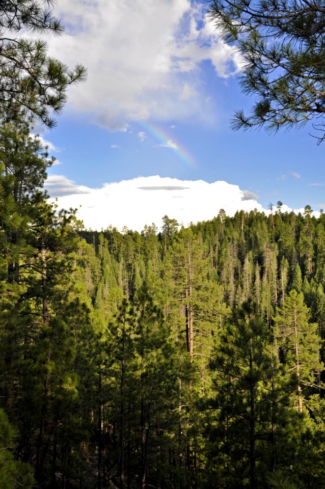 20100806-FS-Coconino-BS-001