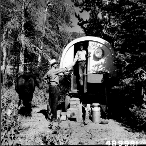 195807XX- Cache-BWM-FS-489981