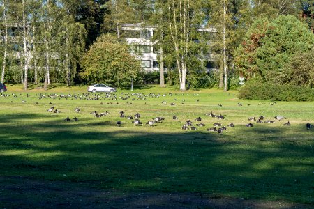 20160902-DSC 0114