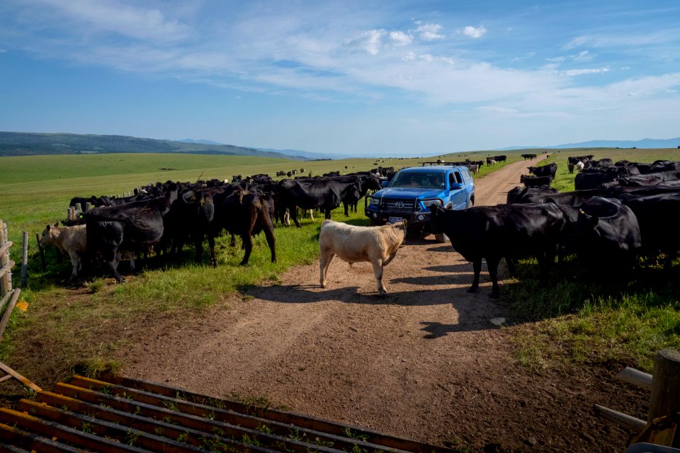 20180710-FS-Beaverhead-PJK-2851