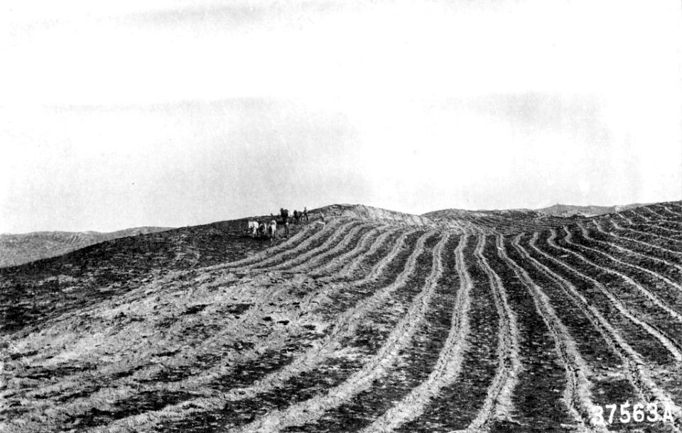 191804XX-FS-Nebraska-SR-37563