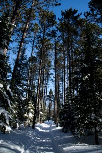 20180227-FS-LSC-0220