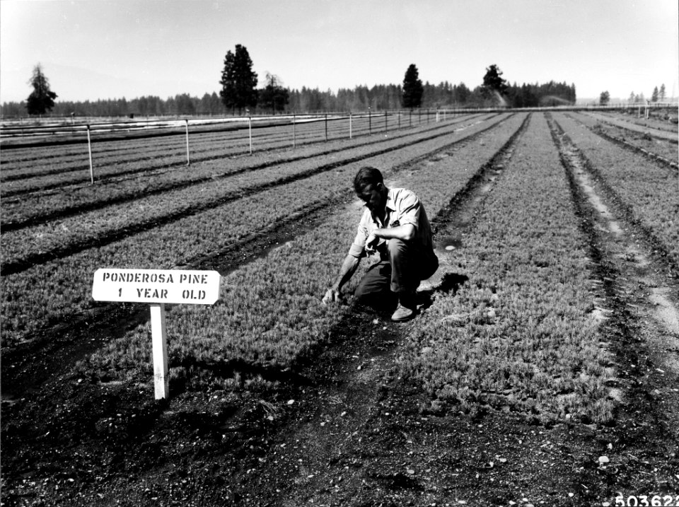 196208XX-FS-Coeur d’Alene-PM-503622