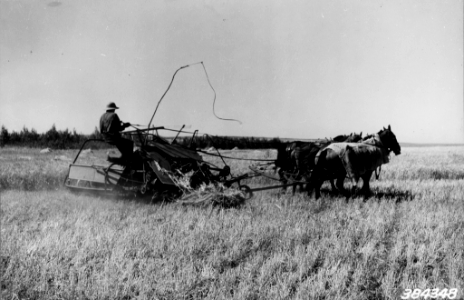 193908XX-FS-North Dakota-WHS-384348 photo