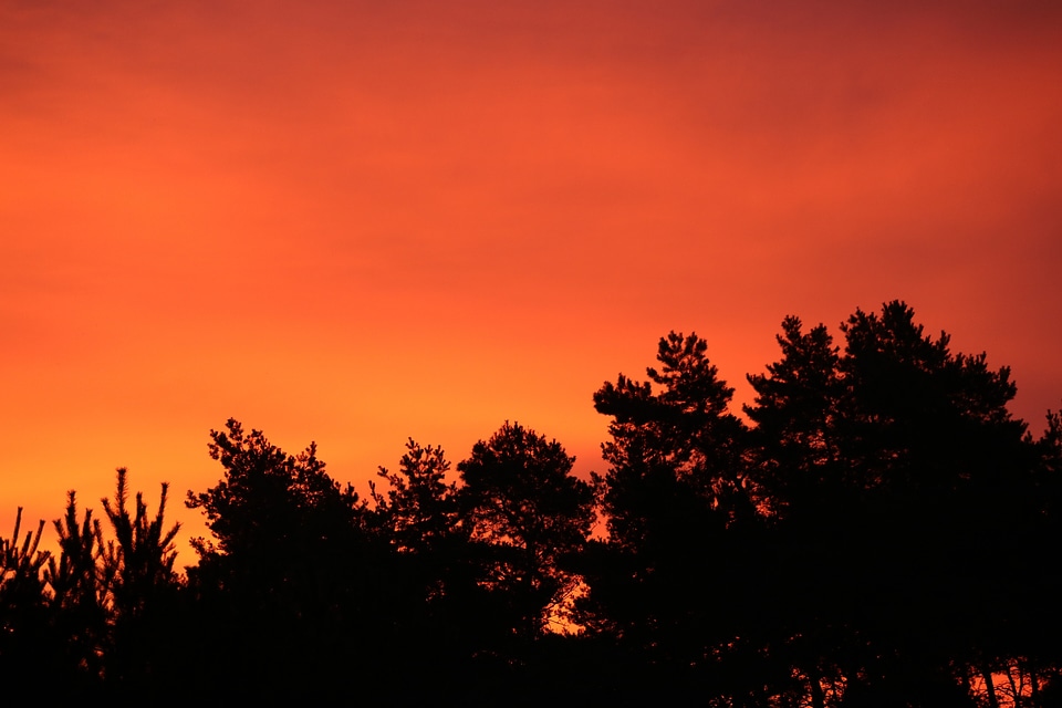 Morgenstimmung red sky mood