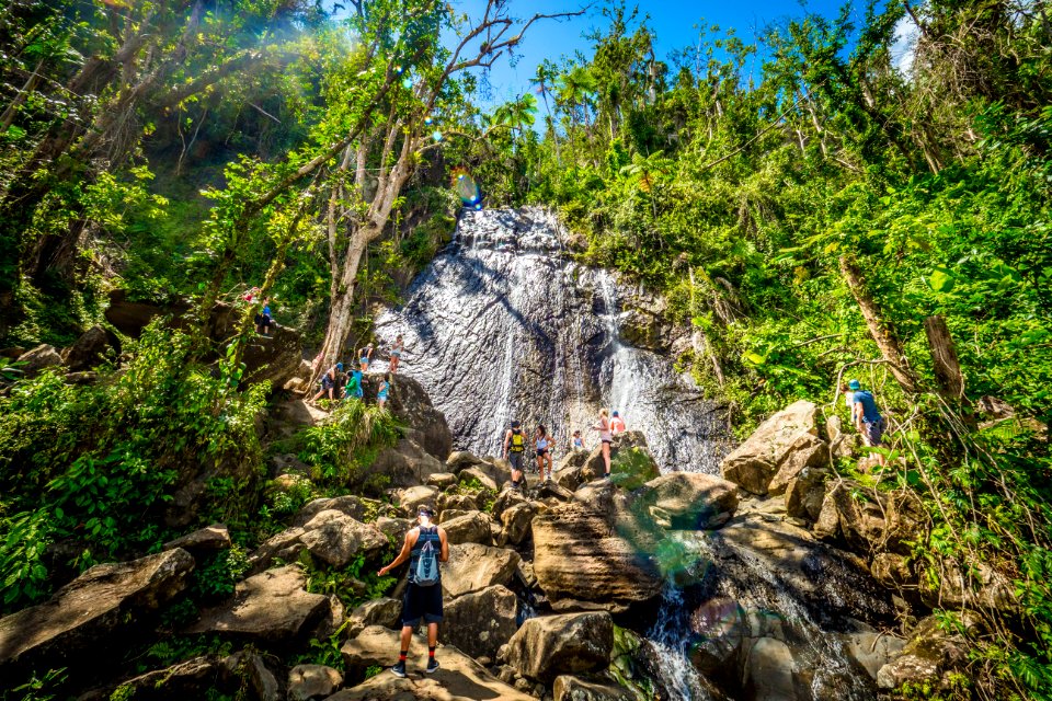 20180322-FS-Yunque-PJK-024