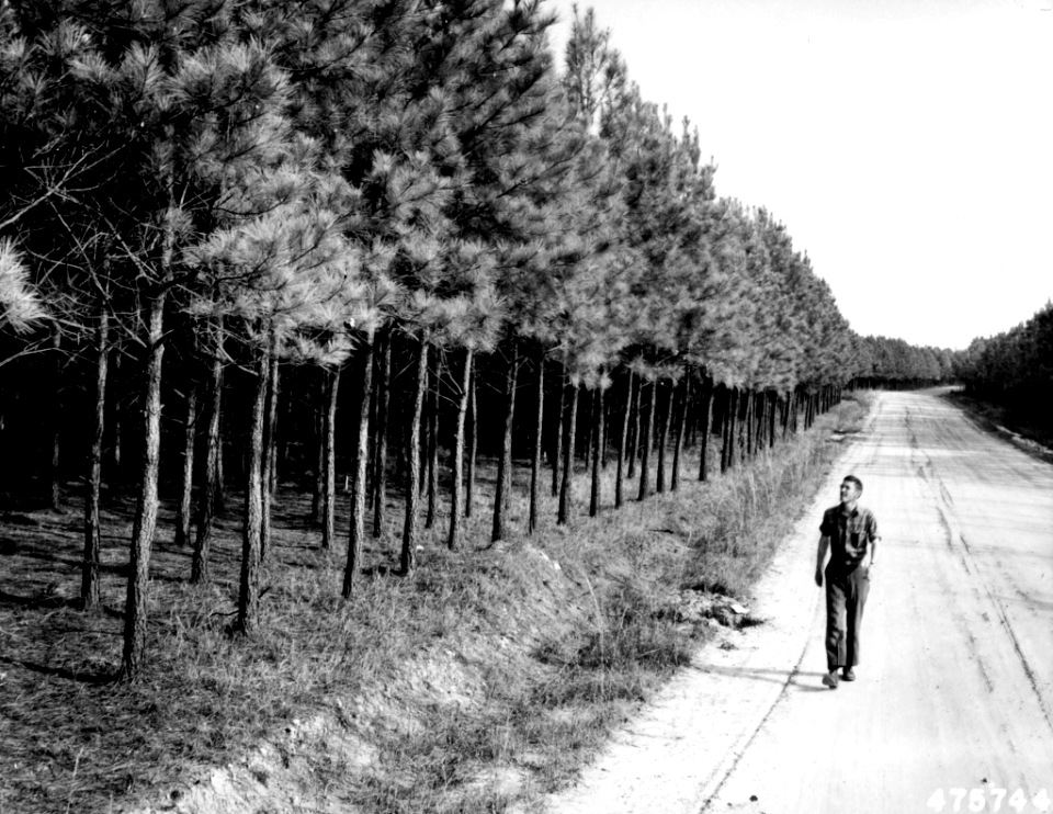 195303XX-Sumter-DOT-475744