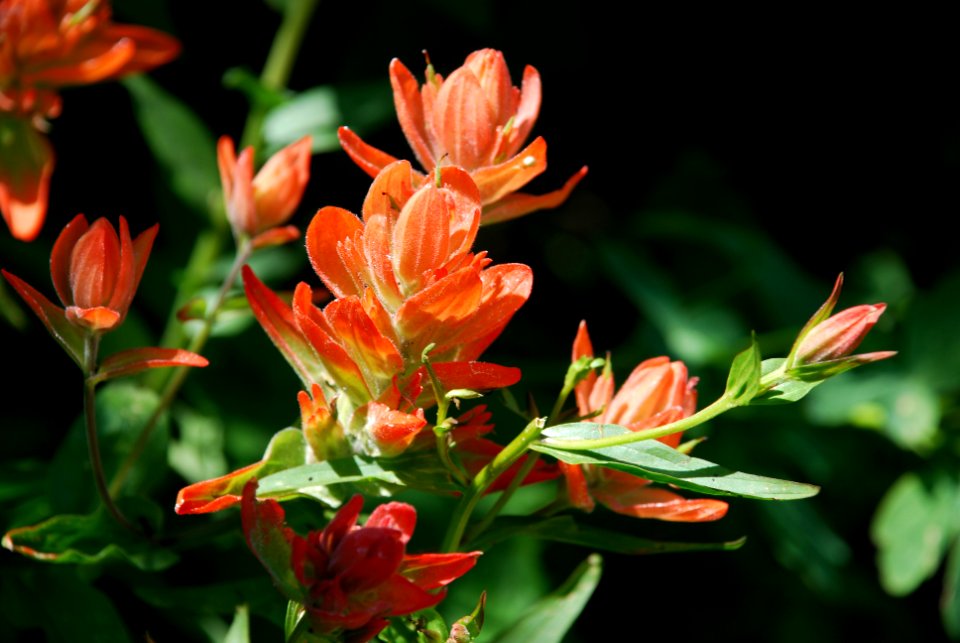 20080719-FS-Uinta-SB-001