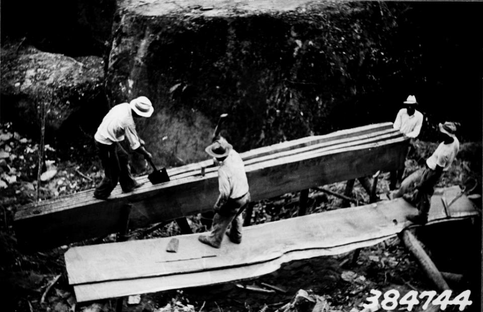 193804XX-FS-Caribbean-AKT-384744