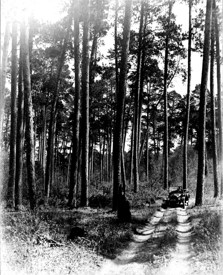 1917XXXX-FS-Minnesota-WIH-33790