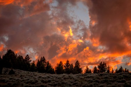180711-fs-beaverhead-pjk-6452
