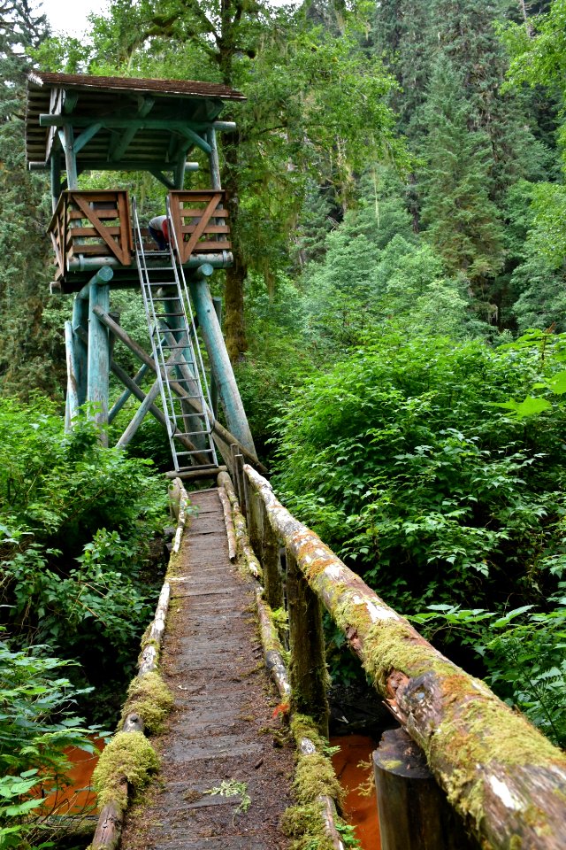 180823-fs-tongass-par-187 43609984294 o