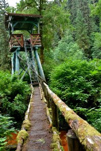 180823-fs-tongass-par-187 43609984294 o
