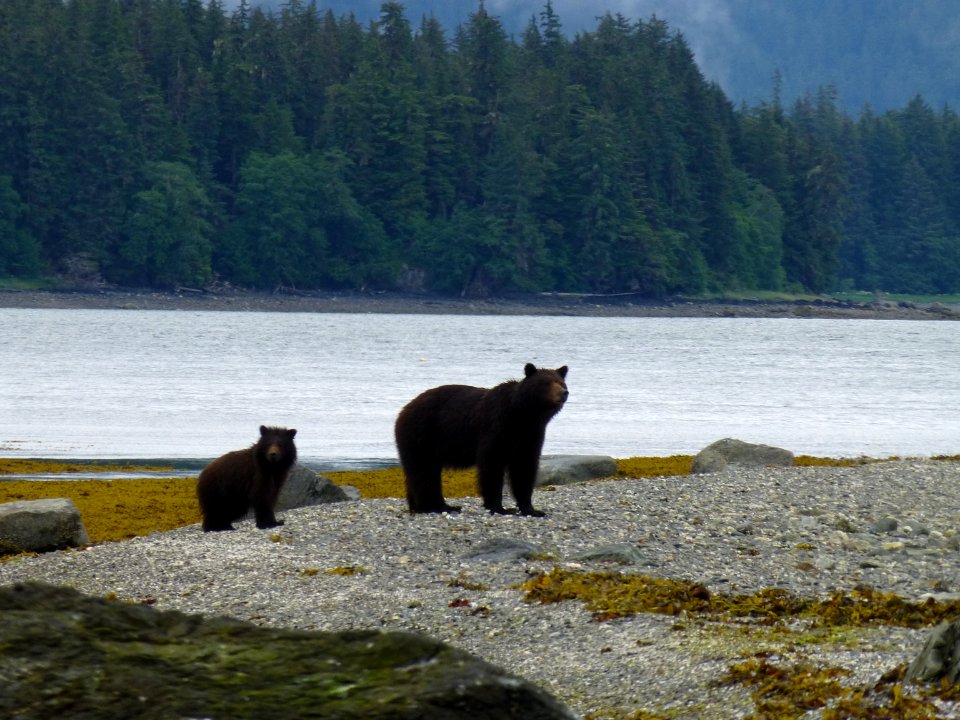 20120627-FS-Tongass-DM-011