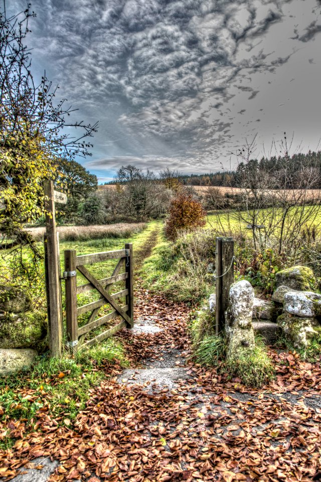 Through the gate