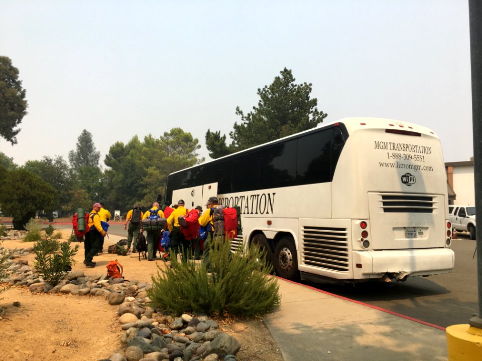 180806-FS-Shasta-Trinity-R5-OR-4640