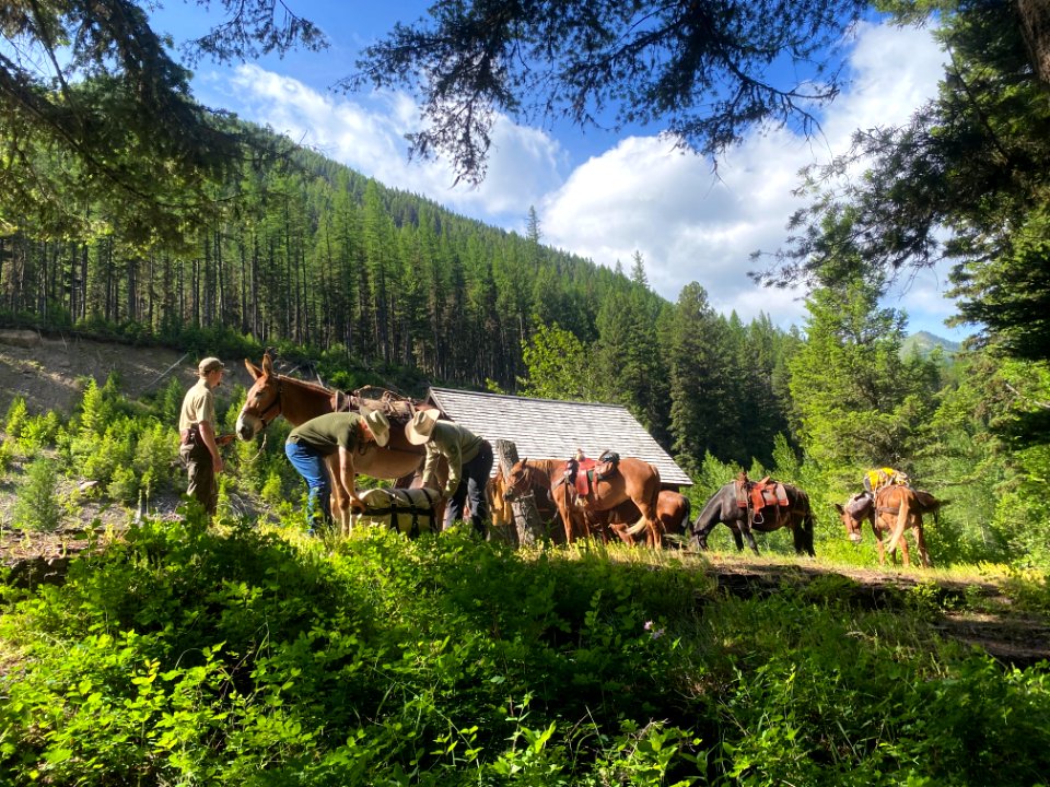 Loading stock at Granite Cabin