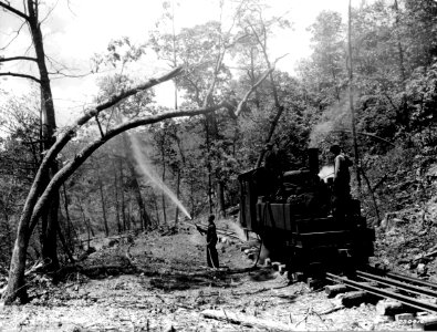 1928XXXX-FS-West Virginia-EST-230416 photo