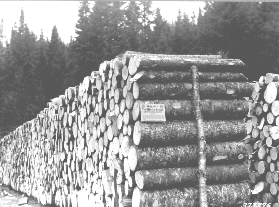 193811XX-FS-White Mountain-HEA-373396