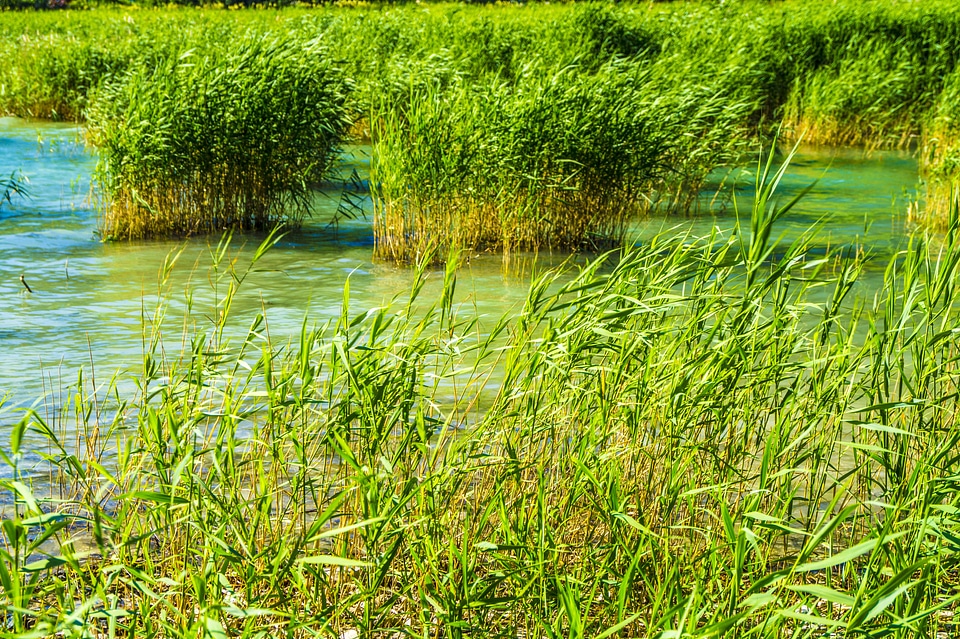 Bank nature waters