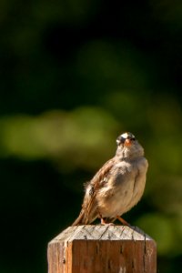 20180711-FS-PJK-3277