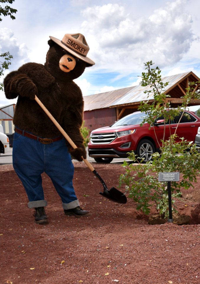 smokey-bear-75th-birthday-celebration-at-the-city-of-williams-visitors-center-2019 48506276842 o
