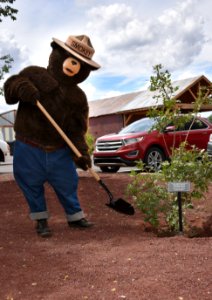 smokey-bear-75th-birthday-celebration-at-the-city-of-williams-visitors-center-2019 48506276842 o