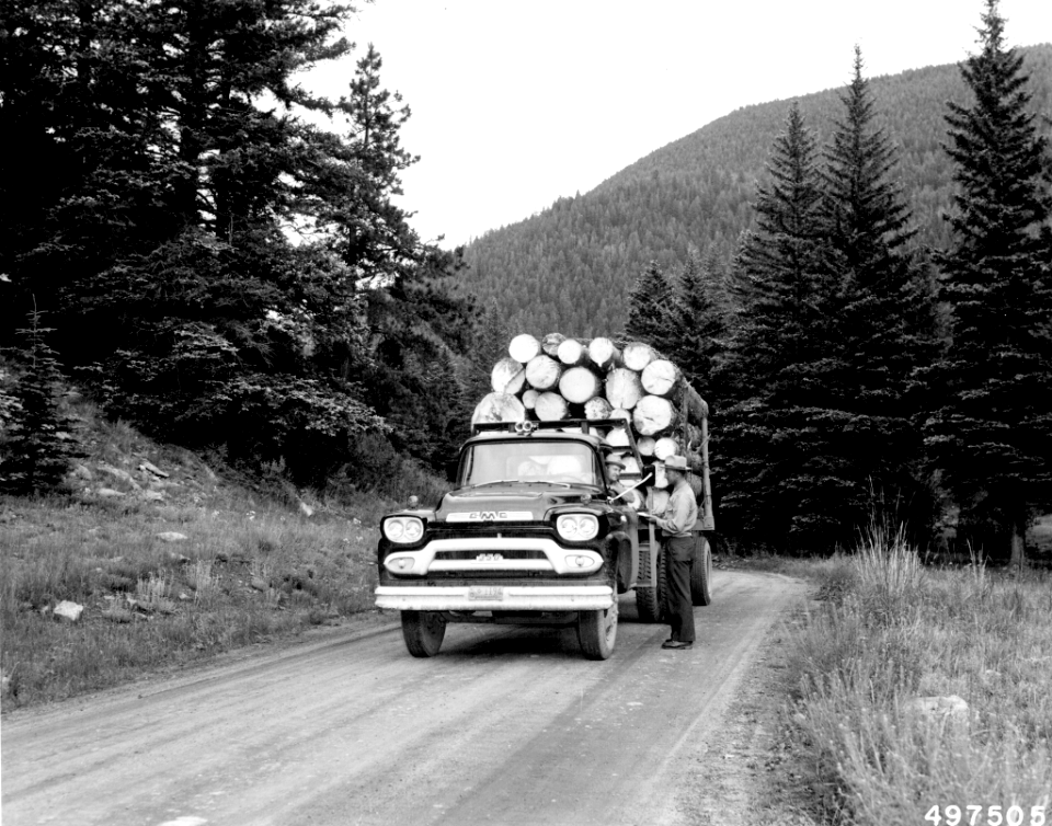 196008XX-FS-Carson-BWM-497505