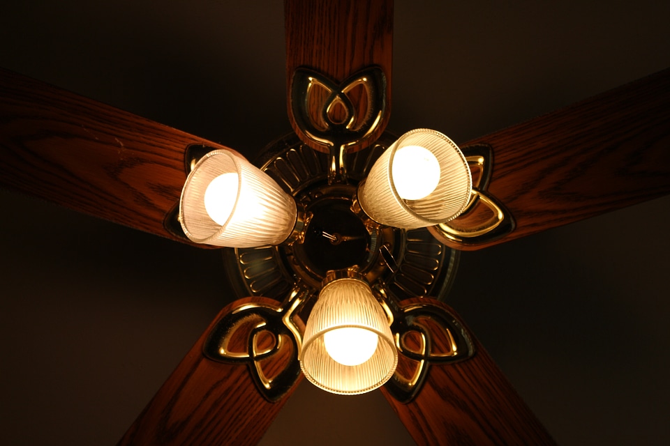 Bulb bright house