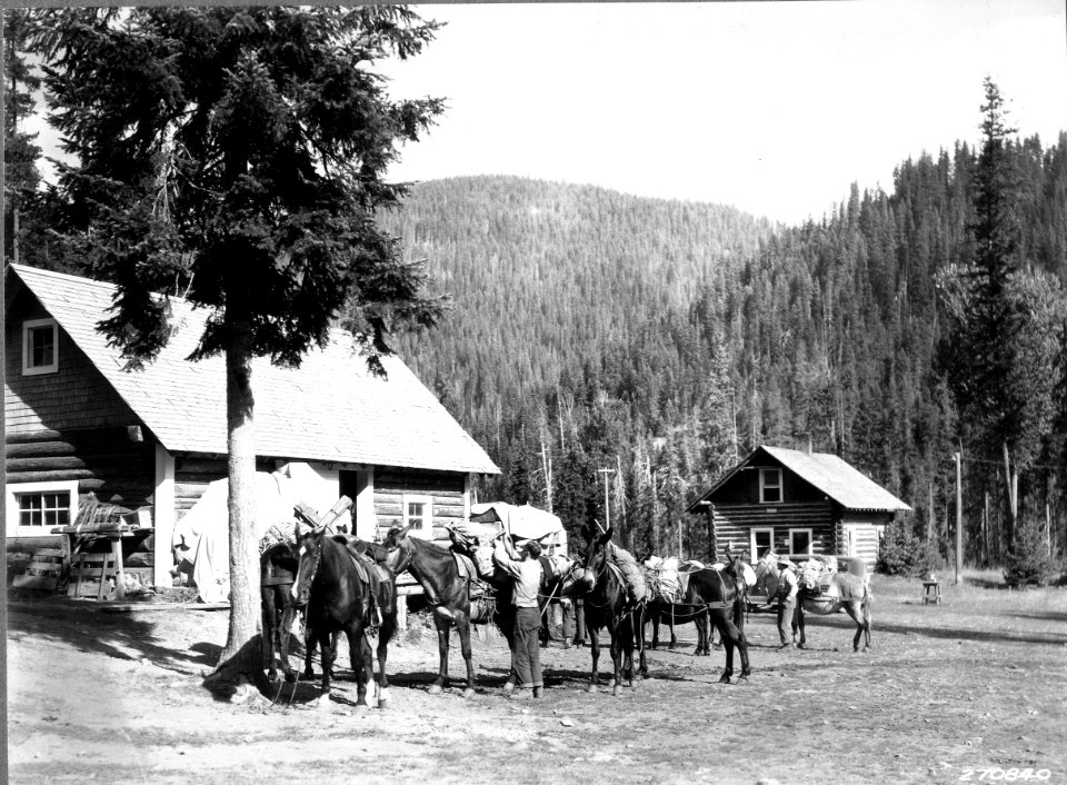 1932XXXX-FS-Coeur d Alene-KDS-270840