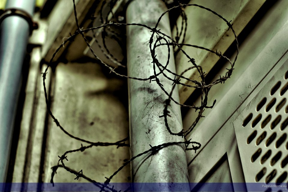 Rainpipe Barbed Wire