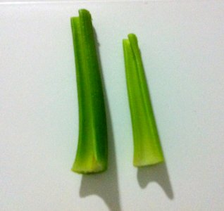 IMG 4869