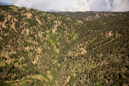 20160731-FS-Boise-KG-113