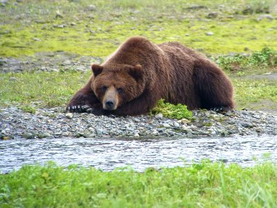 20130718-FS-Tongass-DM-002