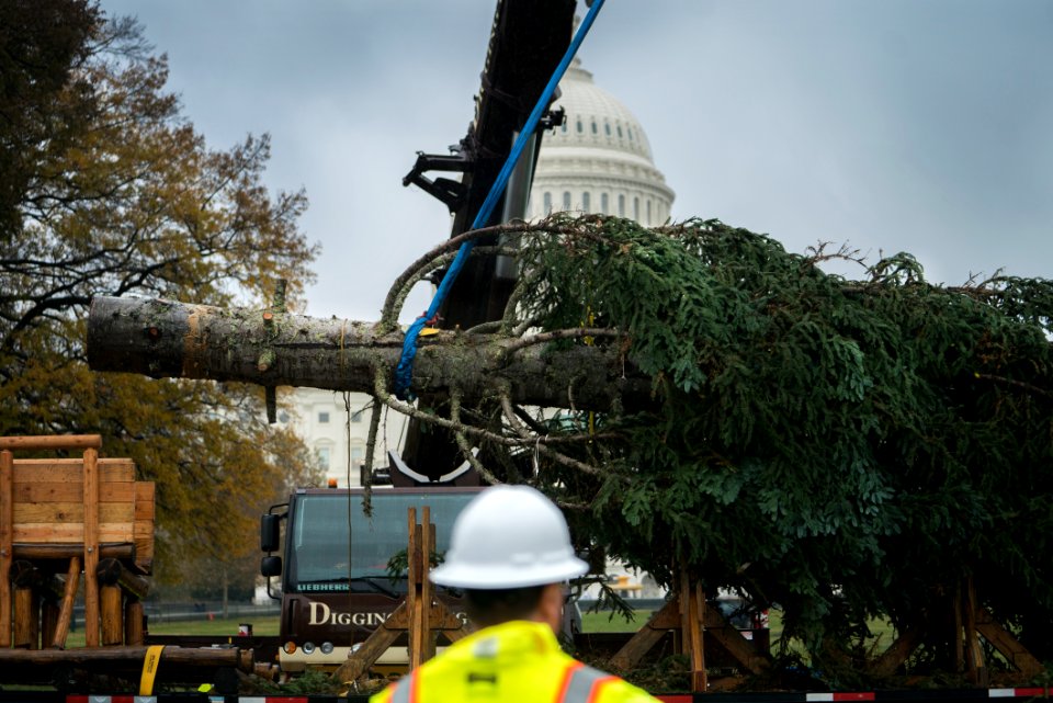 20181126-FS-CapChristmasTreeArrival-TEF-013