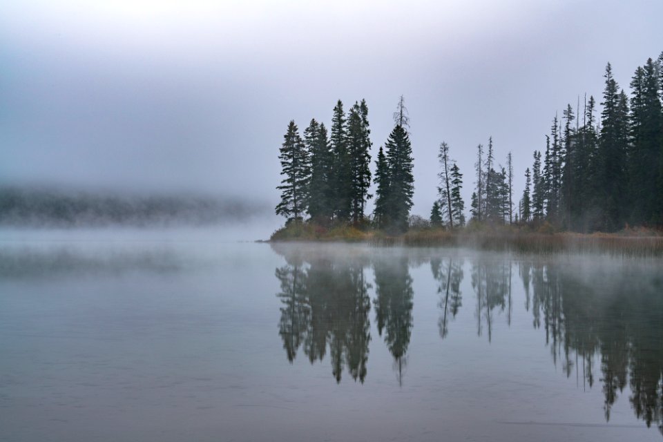 20190329-FS-FlatheadNF-YFYF-113