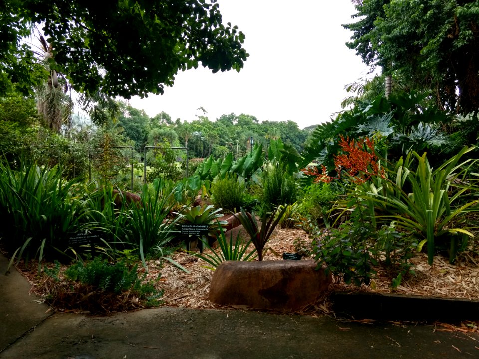 Jardim Botânico Plantarum