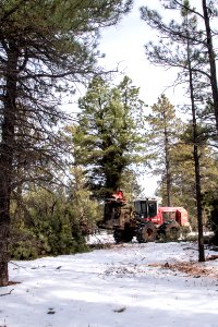 20181204-fs-kaibab-lsc-0496 40182683073 o