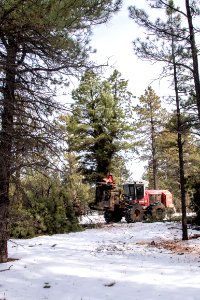 20181204-fs-kaibab-lsc-0496 40182683073 o photo