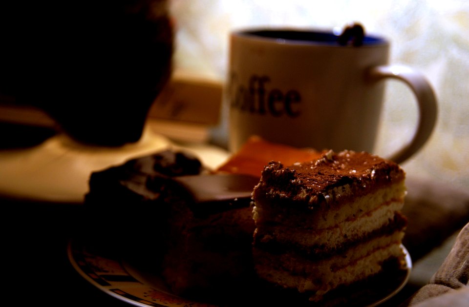 pie, coffee and cat