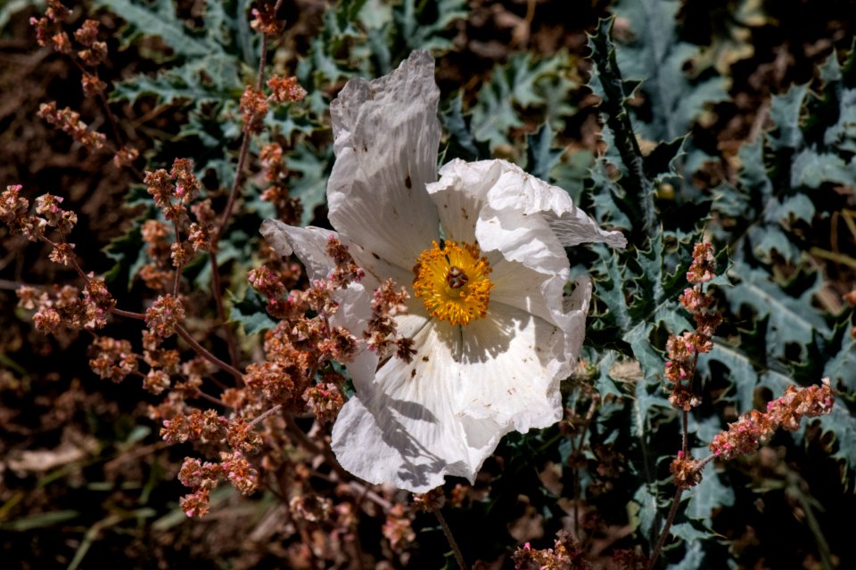20190927-fs-lsc-0564 49751434073 o