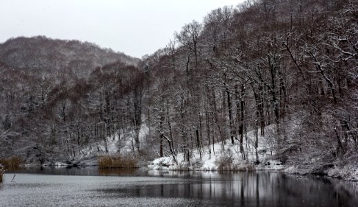 Winter Rituals