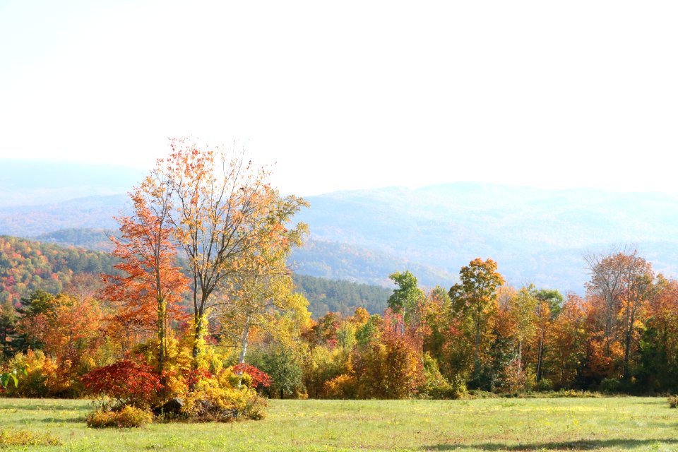 20181010-FS-White Mountain-KG-003