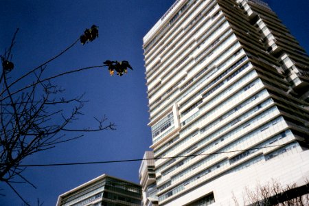 晴天裡的中信金融園區